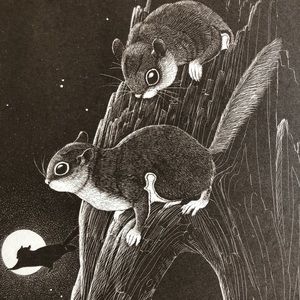 Small Original Art- Flying Squirrels- 1975